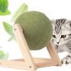 71TzcQYrukL._AC_SL1500 Cat Mint Ball Toy, Catnip Floor Ball Toy, Interactive Catnip Toy, Rotatable Catnip Roller Ball Floor Mount, Catnip Floor Toys with Enjoyable and Safe, Floor Catnip Roller for Cat Playing (Small)