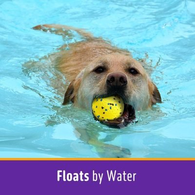 Dog Balls Tennis Ball Toys Dog Toys for Aggressive Chewers Durable Teething Chew Toys Water Toy Fetch Balls for Large Medium Small Dog and Puppies (4 Balls)