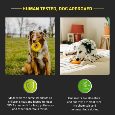 Layer Ring Toy for Large Dog (35lbs & up) - Engaging All-Natural Cheddar Cheese Scented Durable Dog Chew Toys for Aggressive Chewers - Easy to Clean - Interactive & Non-Toxic