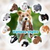 10 Pcs Dog Squeaky Toys No Stuffing Pet Toys Crinkle Dog Toy for Aggressive Chewers Plush Teething Puppy Squeak Toys Animals Chew Toys for Small Medium Large Pets, 10 Styles(Classic Style)