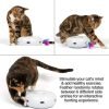 Interactive Cat Toys for Indoor/Outdoor Activity - New & Improved Cat Feather Toys Replacement Feathers Available 12 Month Warranty
