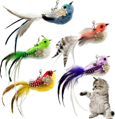 Cat Feather Toy Refill Cat Wand Attachments, 5 PCS Feathers Cat Toy Refills, Cat Wand Replacement Feather Bird for Cat Toy