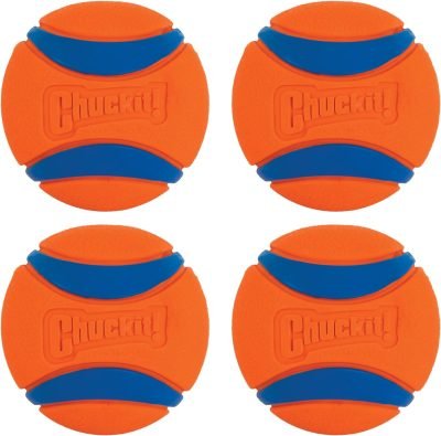 Ultra Ball Dog Toy, Medium (2.5" Diameter), Pack of 8 with Chuckit Cleaning Bucket