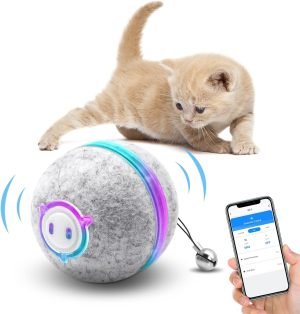 Interactive Smart Cat Toy, APP Control Self Moving Balls, 3 Modes Active Rolling Ball with Replaceable Shell, Rechargeable Wicked Ball for Indoor Cats/Kitten and Small Dogs
