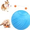 Interactive Dog Toy Ball 2.3'' 2 Interactive Modes Soft Enhanced Rubber Bite Resistant Durable Motion Activated Automatic Rolling Ball Toys with LED