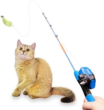 71laZHGThqL._AC_SL1500 Cat Casting Fishing Pole Toy, Cat Casting Toy Set, Interactive Toy for Cats, Tangle-Free Design, Cat Toy for Indoor Outdoor Cats