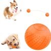 Interactive Dog Toy Ball 2.3'' 2 Interactive Modes Soft Enhanced Rubber Bite Resistant Durable Motion Activated Automatic Rolling Ball Toys with LED