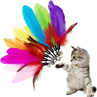 Cat Feather Toys Refill Cat Wand Replacement Feathers, 16 PCS Cat Toy Feather Refills, Cat Wand Attachments Feathers for Cat Toys