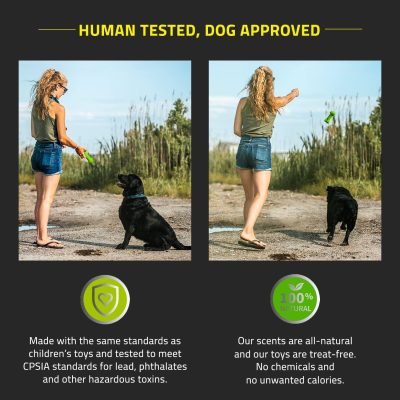 Layer Bone Toy for Large Dogs (35lbs & up) - Engaging All-Natural Sweet Potato Scented Durable Dog Chew Toy for Heavy Chewers - Easy to Clean - Interactive & Non-Toxic