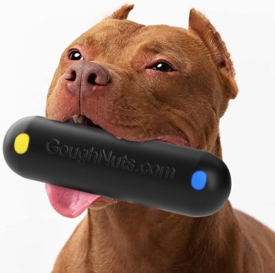 Dog Toys for Aggressive Chewers | Virtually Indestructible Dog Toys for Breeds Such as Pit Bulls and German Shepherds | Heavy Duty Rubber Stick Toy | Large
