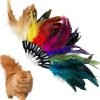 Cat Feather Toys Refill Cat Wand Replacement Feathers, 16 PCS Cat Toy Feather Refills, Cat Wand Attachments Feathers for Cat Toys