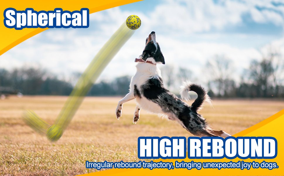 lrregular rebound trajectory, bringing unexpected joy to dogs.