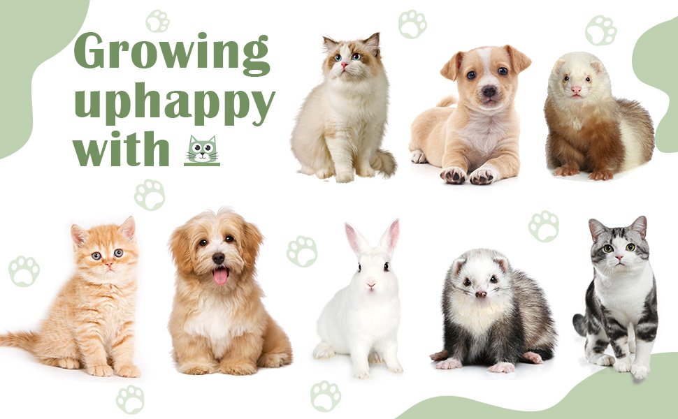 Cat Tunnel Toy Bed 2-in-1