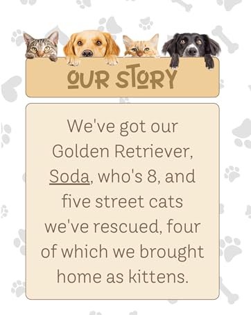 Cat Balls & Catnip Toys Set - Cartoon Fuzzy Balls, Soft & Lightweight Kittens Chewing, Kicker Toys 