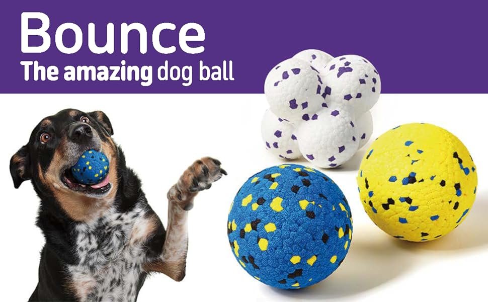 Kimee Indestructible Dog Ball