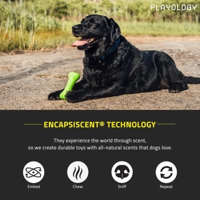 Layer Bone Toy for Large Dogs (35lbs & up) - Engaging All-Natural Sweet Potato Scented Durable Dog Chew Toy for Heavy Chewers - Easy to Clean - Interactive & Non-Toxic