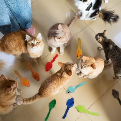 120 Pcs Rainbow Furry Cat Mouse Toys Interactive Rattle Cat Toy Mice Small Soft Rustle Sound Kitten Toys for Pets Cat Puppy Kittens Play, Assorted Colors