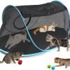 81DZuLH8bdL._AC_SL1500 Cat Furniture Tent for Indoor and Outdoor Playpen Portable Cat Tunnels, Outdoor Kennel (2 Cube + 3-Way Tunnel)