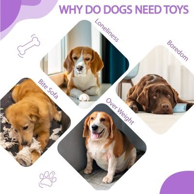 Dog Toy, 8 Pack Dog Squeaky Toys for Chewer Small, Medium, and Large Breed,Cute Durable Interactive Dog Toys for Indoor Puppy Teething, Pet Entertaining, Fun, with Squeaker & Crinkle Paper