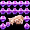 15 Pieces Ghost Hunting Cat Ball Light up Cat Balls Motion Activated Interactive Cat Toy Small LED Glowing Pet Ball for Animal Dog Running Activity Indoor Supplies, 1.38 x 1.5 Inches