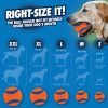 Ultra Ball Dog Toy, Medium (2.5" Diameter), Pack of 8 with Chuckit Cleaning Bucket