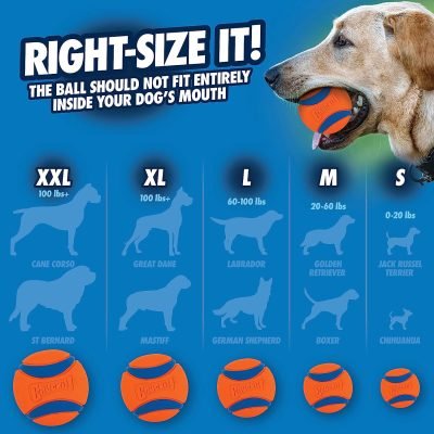 Ultra Ball Dog Toy, Medium (2.5" Diameter), Pack of 8 with Chuckit Cleaning Bucket
