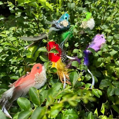 Cat Feather Toy Refill Cat Wand Attachments, 5 PCS Feathers Cat Toy Refills, Cat Wand Replacement Feather Bird for Cat Toy