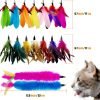 Cat Feather Toys Refill Cat Wand Replacement Feathers, 16 PCS Cat Toy Feather Refills, Cat Wand Attachments Feathers for Cat Toys