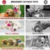 20Pcs Puppy Chew Toys for Teething, Dog Chew Toys with Rope Toys, Pet Dog Toothbrush, Treat Balls, Dog Plush Toys and Squeaky Toys for Small Medium Dogs, Cute Dog Toy with Basket