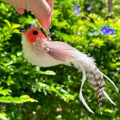 Cat Feather Toy Refill Cat Wand Attachments, 5 PCS Feathers Cat Toy Refills, Cat Wand Replacement Feather Bird for Cat Toy