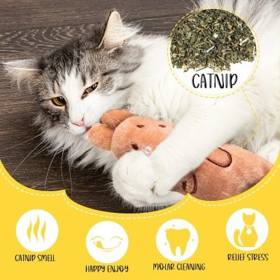 81QP-7iIDyL._AC_SL1500 50 Pcs Catnip Toys for Indoor Cat Plush Cats Toys Bulk Interactive Catnip Filled Kitten Toys Cat Chew Toy Pet Cats Supplies