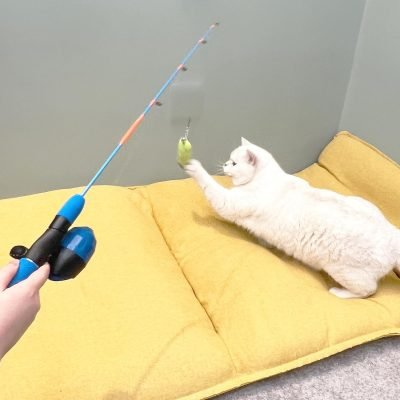 81W6KcXW7FL._AC_SL1500 Cat Casting Fishing Pole Toy, Cat Casting Toy Set, Interactive Toy for Cats, Tangle-Free Design, Cat Toy for Indoor Outdoor Cats