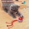 Interactive Cat Toys Ball, Motion Activate Electric Cat Toy, Automatic Pet Exercise Toys, Simulate Bird Calls, USB Rechargeable (Long Tail)