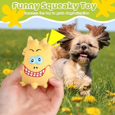 81Yh0D6suGL._AC_SL1500 13 Pcs Squeaky Dog Toys Durable Latex Squeaker Puppy Chew Rubber Dog Toys Boredom Animals Interactive Dog Toys Colorful Funny Fetch Toy for Small Medium Breed