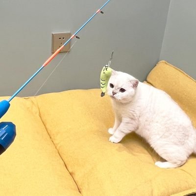 81btRSJluLL._AC_SL1500 Cat Casting Fishing Pole Toy, Cat Casting Toy Set, Interactive Toy for Cats, Tangle-Free Design, Cat Toy for Indoor Outdoor Cats