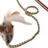 OurPets Play-N-Squeak Teathered & Feathered Play Wand Cat Toy, for All Breed Sizes