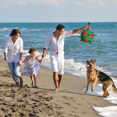 Watermelon Ball Dog Water Toys- Waterproof Dog Soccer Ball with Straps, Dog Beach Balls for Summer Outdoor Games Swimming Pool with Family Kids, Outdoor Dog Toys (9 inch)