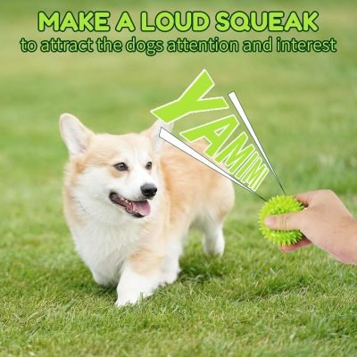 2.5" Squeaky Dog Balls for Small Medium Dogs, 6 Pack Small Dog Chew Toys with Spike, Puppy Toys for Teeth Cleaning and Training (Green 6 Pack)