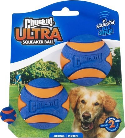 Ultra Ball Dog Toy, Medium (2.5" Diameter), Pack of 8 with Chuckit Cleaning Bucket