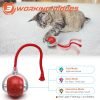 Interactive Cat Toys Ball, Motion Activate Electric Cat Toy, Automatic Pet Exercise Toys, Simulate Bird Calls, USB Rechargeable (Long Tail)