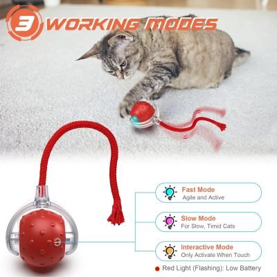 Interactive Cat Toys Ball, Motion Activate Electric Cat Toy, Automatic Pet Exercise Toys, Simulate Bird Calls, USB Rechargeable (Long Tail)