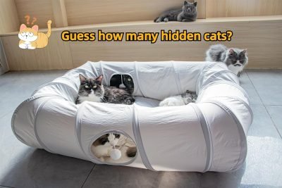 4 Ways Shuttled XL Cat Tunnel Bed for Indoor Cats Peekaboo Cat Cave Donut with Cool Mat