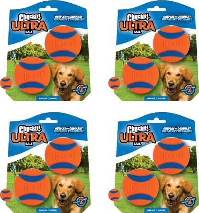 Ultra Ball Dog Toy, Medium (2.5" Diameter), Pack of 8 with Chuckit Cleaning Bucket