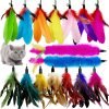 Cat Feather Toys Refill Cat Wand Replacement Feathers, 16 PCS Cat Toy Feather Refills, Cat Wand Attachments Feathers for Cat Toys