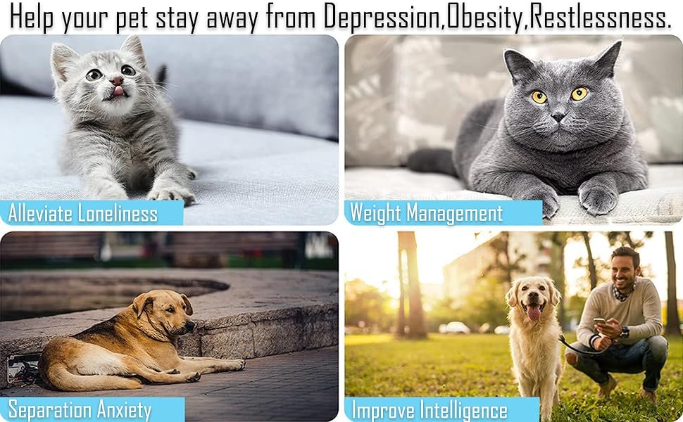 Help your pet stay away from Depression