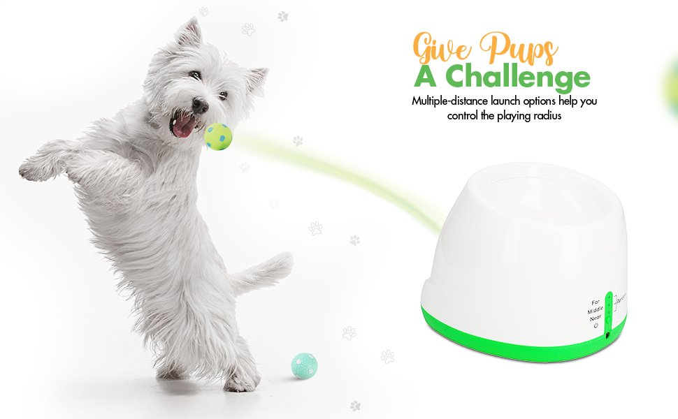 tennis ball launch fun toy gift for dogs puppy