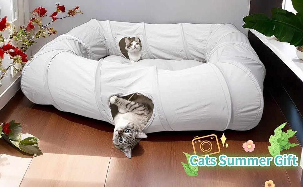 Cat tunnel cool Summer Gift