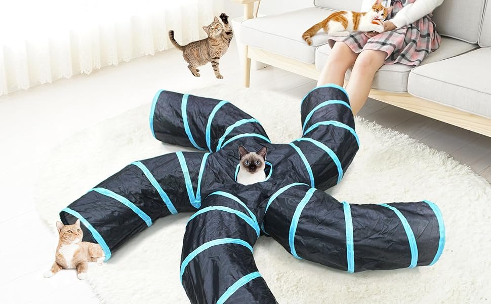 cat tunnels