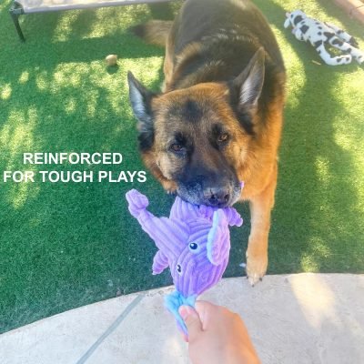 5 Pack Tough Plush Animal Dog Toys Assortment Value Bundle Dog Squeaky Toys Assortment Puppy Pet Mutt Dog Toy Dog Squeak Toy for Medium Large Dogs