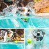 Pet Tennis Balls for Dogs - 12 Pack 2.5" for Exercise and Fetch, Interactive Toys, Great for Small Breeds